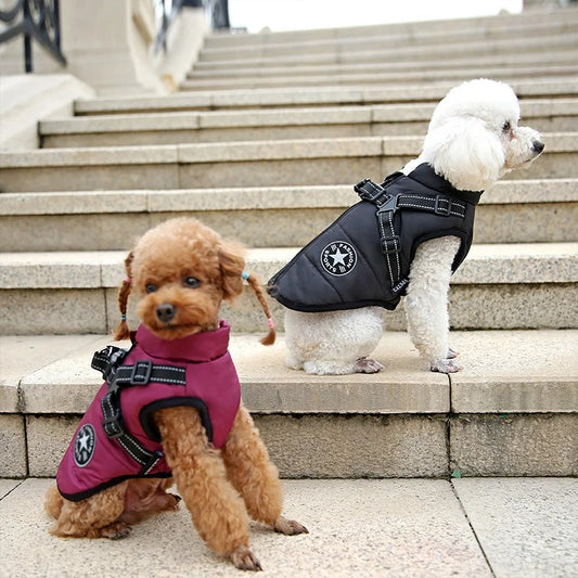 Waterproof Warm Dog Jacket with Harness