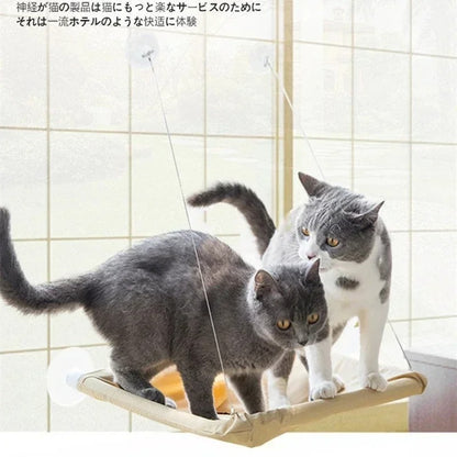 Foldable Cat Window Perch with Strong Suction Cups